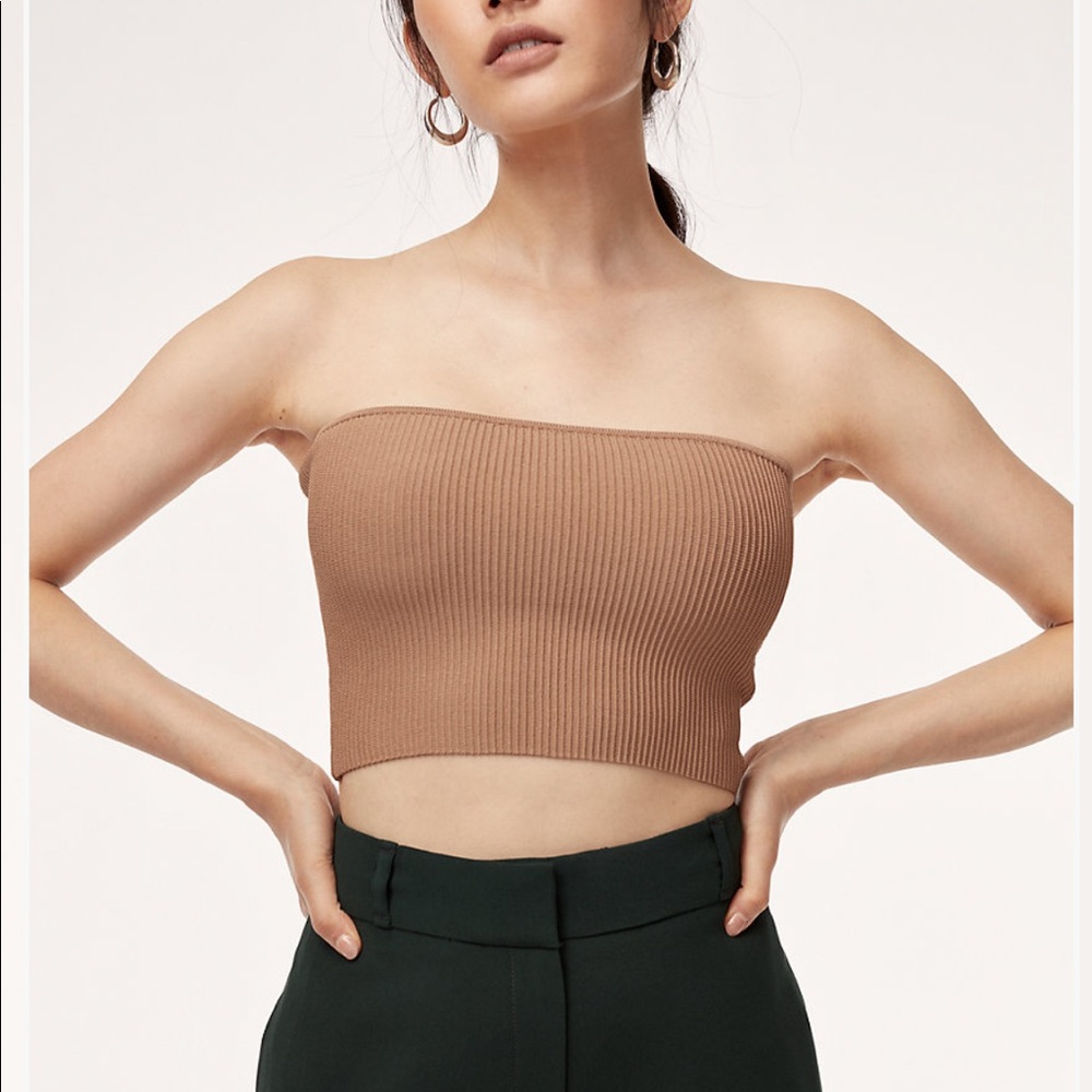 Aritzia Tube Top